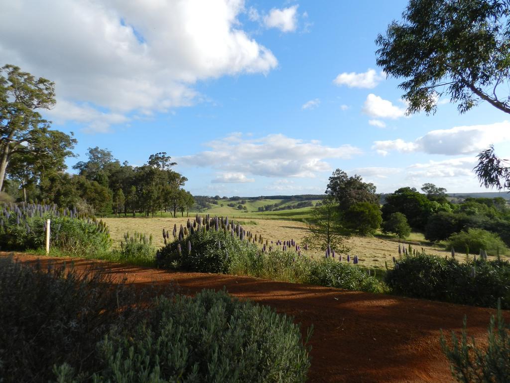 Shambhala Guesthouse Kangaroo Gully Exterior foto